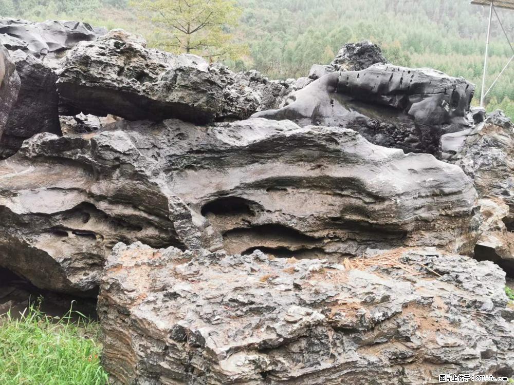 风景石、假山石大量有货,有需要的欢迎联系 - 新手上路 - 营口生活社区 - 营口28生活网 yk.28life.com