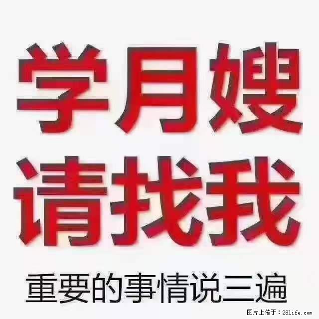 为什么要学习月嫂,育婴师? - 其他广告 - 广告专区 - 营口分类信息 - 营口28生活网 yk.28life.com