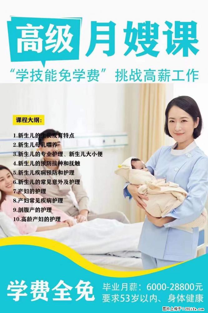 为什么要学习月嫂,育婴师? - 其他广告 - 广告专区 - 营口分类信息 - 营口28生活网 yk.28life.com