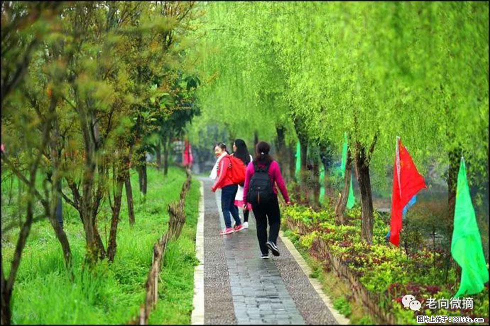 【春天,广西桂林灌阳县向您发出邀请!】江口老街又逢春 - 游山玩水 - 营口生活社区 - 营口28生活网 yk.28life.com
