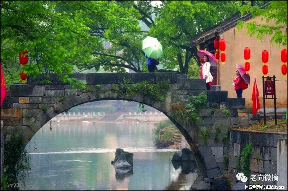 【春天,广西桂林灌阳县向您发出邀请!】江口老街又逢春 - 游山玩水 - 营口生活社区 - 营口28生活网 yk.28life.com
