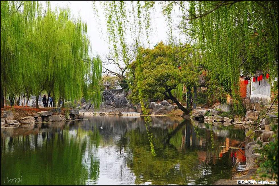【春天,广西桂林灌阳县向您发出邀请!】江口老街又逢春 - 游山玩水 - 营口生活社区 - 营口28生活网 yk.28life.com