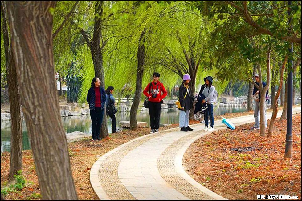 【春天,广西桂林灌阳县向您发出邀请!】江口老街又逢春 - 游山玩水 - 营口生活社区 - 营口28生活网 yk.28life.com