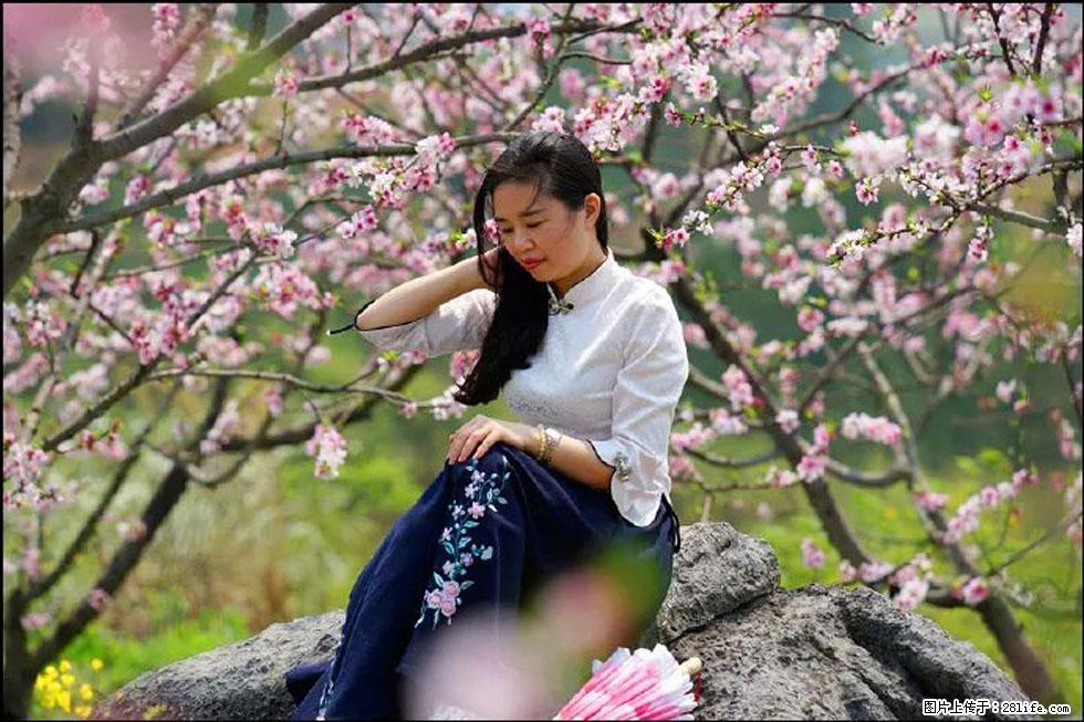 【春天,广西桂林灌阳县向您发出邀请!】望月岭上桃花开 - 游山玩水 - 营口生活社区 - 营口28生活网 yk.28life.com