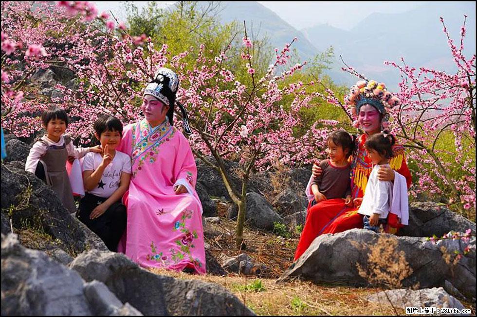 【春天,广西桂林灌阳县向您发出邀请!】望月岭上桃花开 - 游山玩水 - 营口生活社区 - 营口28生活网 yk.28life.com
