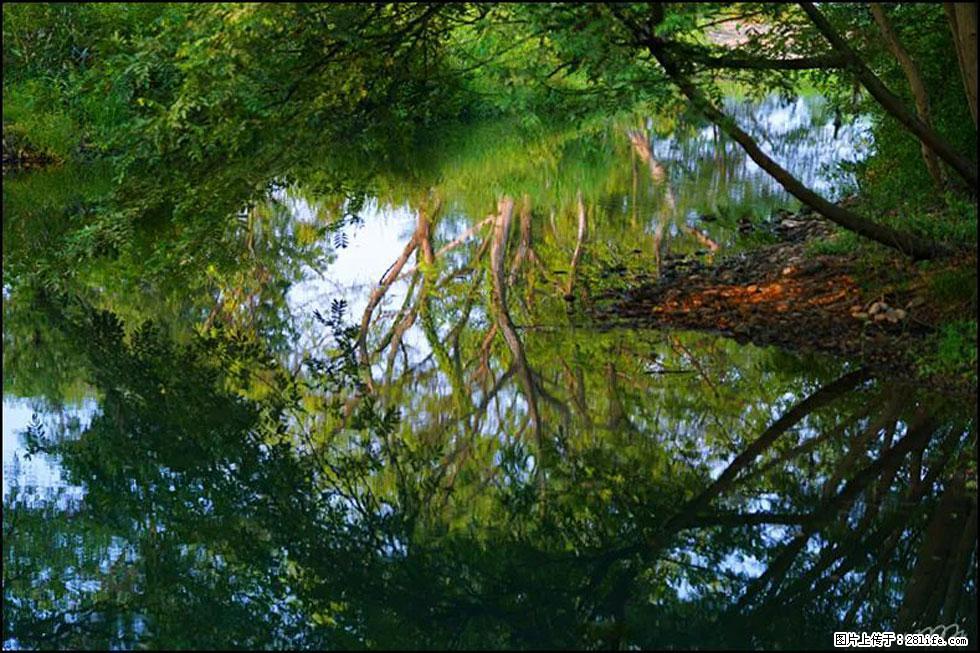 【春天,广西桂林灌阳县向您发出邀请!】熊家寨湿地公园 - 游山玩水 - 营口生活社区 - 营口28生活网 yk.28life.com