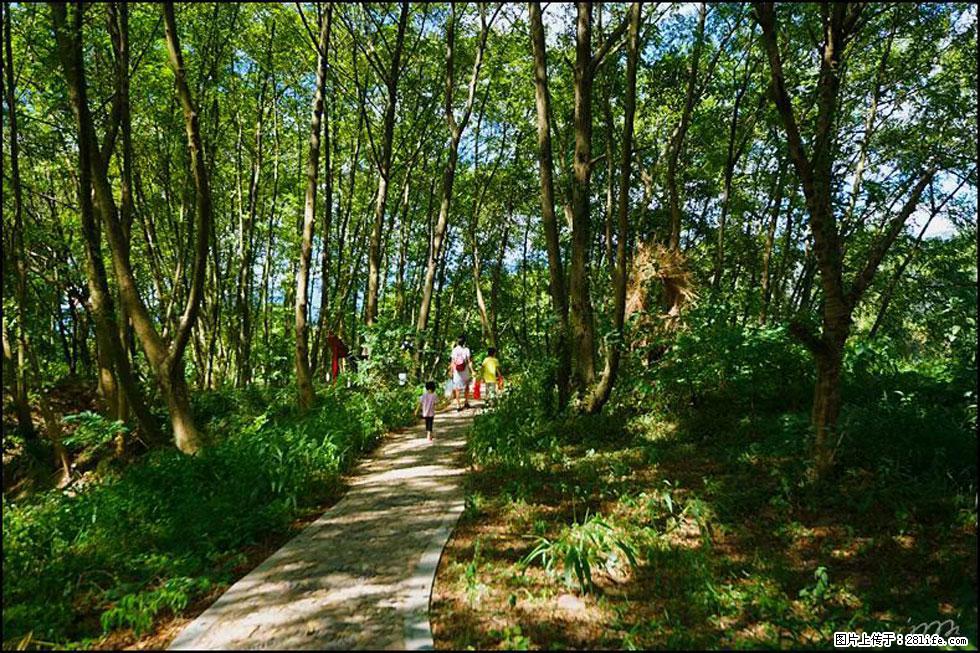 【春天,广西桂林灌阳县向您发出邀请!】熊家寨湿地公园 - 游山玩水 - 营口生活社区 - 营口28生活网 yk.28life.com