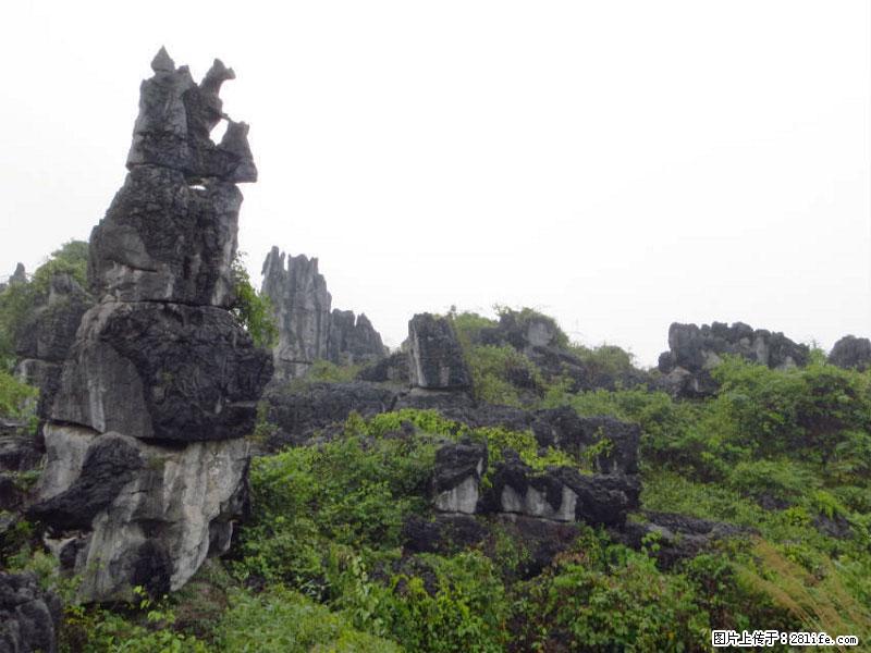桂林旅游名城景点:灌阳文市石林 - 游山玩水 - 营口生活社区 - 营口28生活网 yk.28life.com