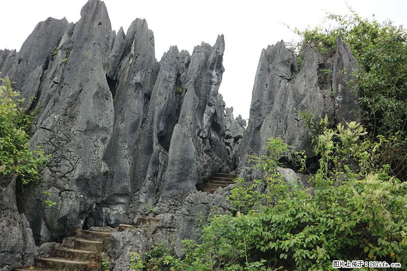 桂林旅游名城景点：灌阳文市石林 - 游山玩水 - 营口生活社区 - 营口28生活网 yk.28life.com