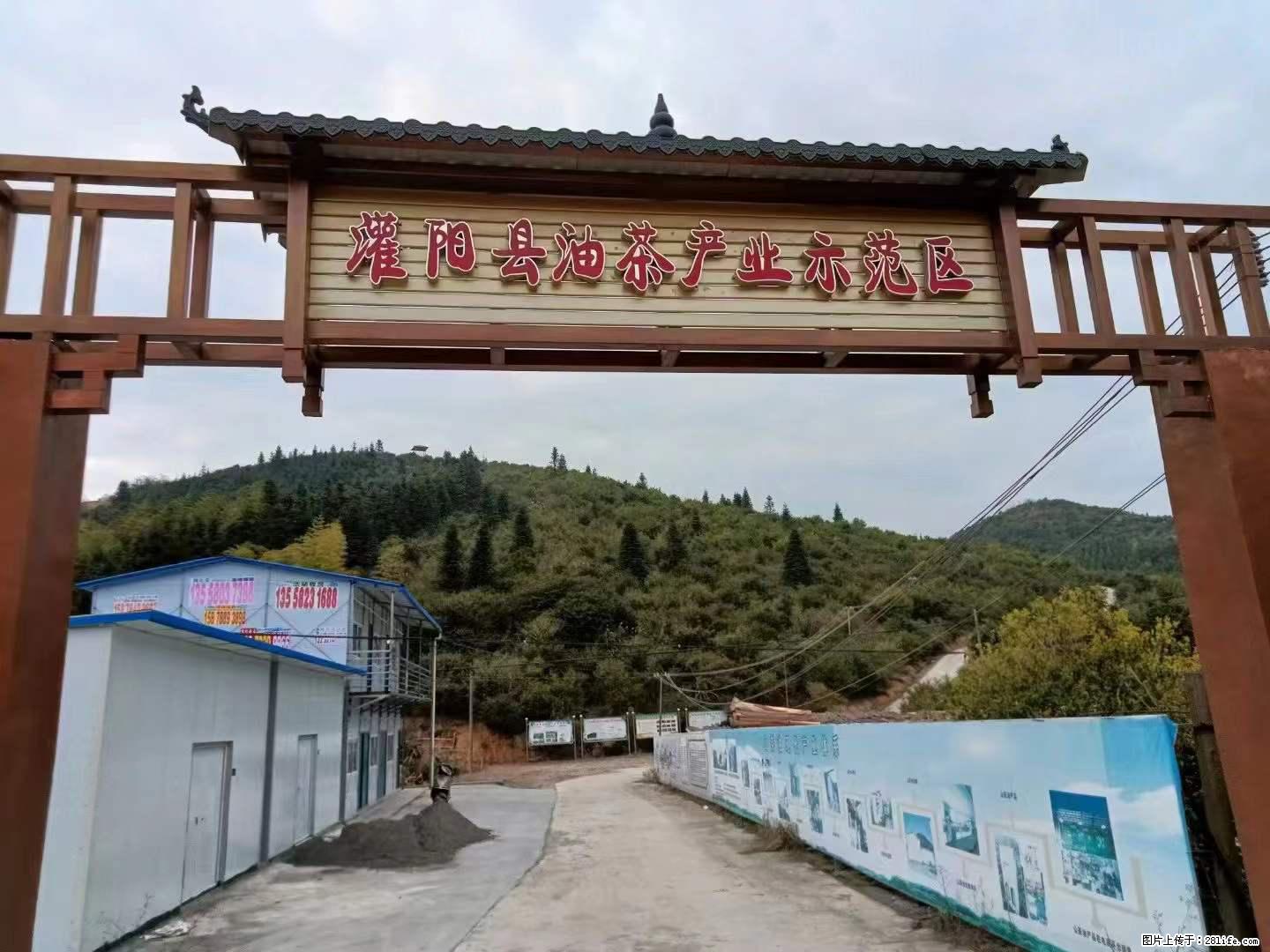 【灌阳县油茶产业示范区】一个有着充实的精神生活的人,对待身外之物自会有一种淡泊的态度 - 美食天地 - 营口生活社区 - 营口28生活网 yk.28life.com