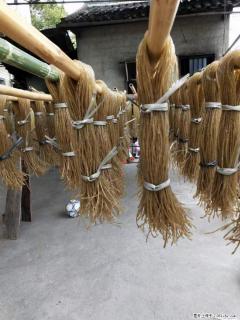 【灌阳正宗红薯粉】美女家里自己做的,干净卫生,假一赔十,价格合理,抢购电话:13737312895 - 营口28生活网 yk.28life.com