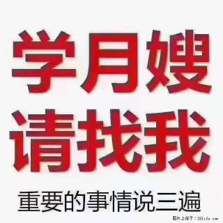 为什么要学习月嫂,育婴师? - 营口28生活网 yk.28life.com