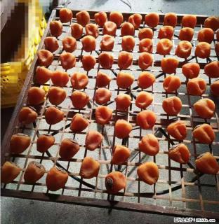 广西桂林平乐桥亭【柿饼之乡】2025年纯手工制作、无任何添加剂的第一批柿饼准备上市了，欢迎联系订购！ - 营口28生活网 yk.28life.com