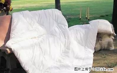 被子有异味?只要这样做,比晒太阳还强100倍! - 家居生活 - 营口生活社区 - 营口28生活网 yk.28life.com