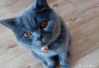 彩霞小区 2室2厅2卫 - 营口28生活网 yk.28life.com