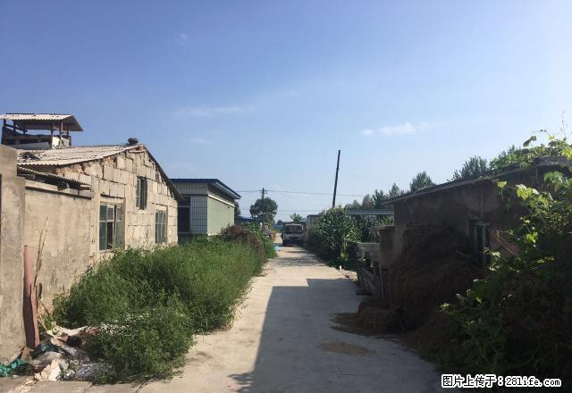 厂房长期出租 水源镇大村村 800平 2500百元每月 - 房屋出租 - 房屋租售 - 营口分类信息 - 营口28生活网 yk.28life.com