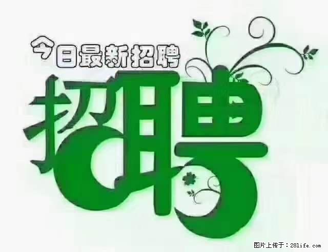 【招聘】产康师 - 职场交流 - 营口生活社区 - 营口28生活网 yk.28life.com