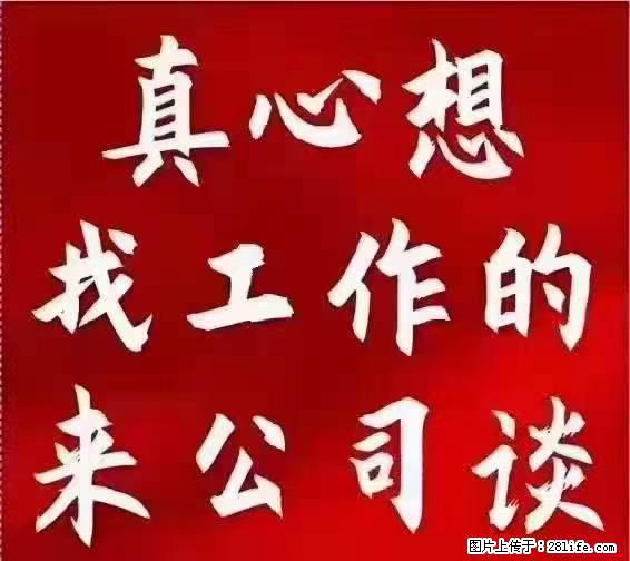 【上海】国企,医院招两名男保安,55岁以下,身高1.7米以上,无犯罪记录不良嗜好 - 职场交流 - 营口生活社区 - 营口28生活网 yk.28life.com