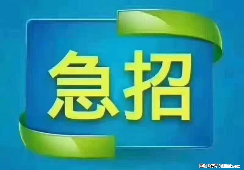 招出纳8000元/月，无证可以，要有相关经验，上海五险一金，包住，包工作餐，做六休一。 - 人事/行政/管理 - 招聘求职 - 营口分类信息 - 营口28生活网 yk.28life.com