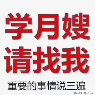 【招聘】月嫂，上海徐汇区 - 营口28生活网 yk.28life.com