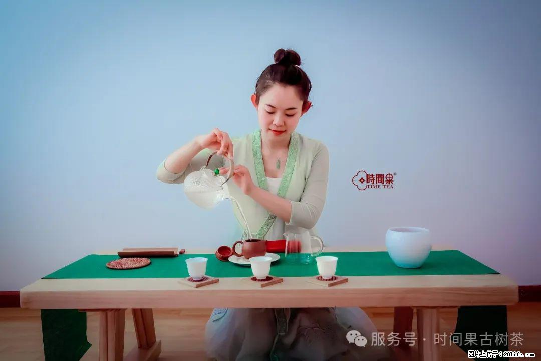 时间果百年古树龙珠普洱生茶 - 购物交流 - 营口生活社区 - 营口28生活网 yk.28life.com