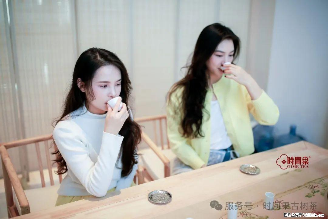 时间果百年古树龙珠普洱生茶 - 购物交流 - 营口生活社区 - 营口28生活网 yk.28life.com