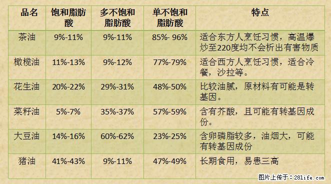 揭秘茶油的5大核心营养成分!被称为人体健康的“守护盾”! - 营口生活资讯 - 营口28生活网 yk.28life.com