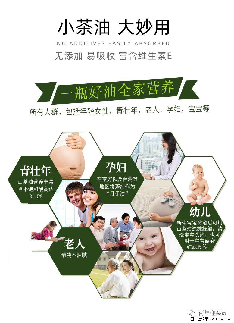 世界没有真相,只有认知,最好的食用油是中国的山茶油! - 营口生活资讯 - 营口28生活网 yk.28life.com