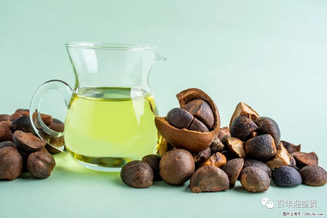 世界没有真相,只有认知,最好的食用油是中国的山茶油! - 营口生活资讯 - 营口28生活网 yk.28life.com