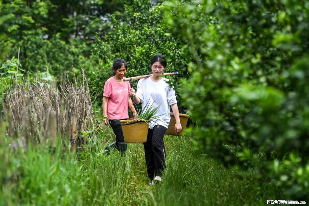 全网追的“扁担女孩”,找了一份暑假工,时薪12元 - 营口生活资讯 - 营口28生活网 yk.28life.com
