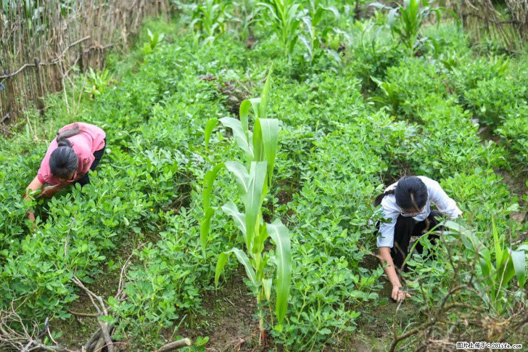 全网追的“扁担女孩”,找了一份暑假工,时薪12元 - 营口生活资讯 - 营口28生活网 yk.28life.com