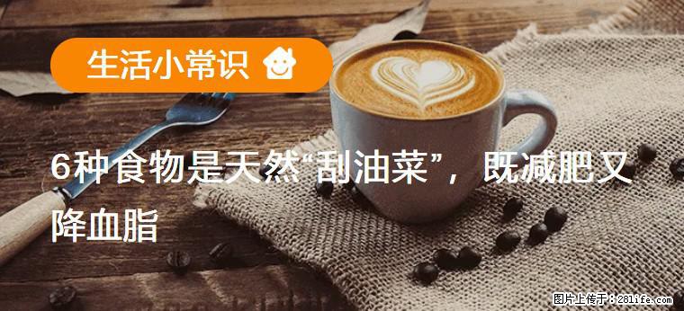 【生活小常识】6种食物是天然“刮油菜”,既减肥又降血脂 - 营口生活资讯 - 营口28生活网 yk.28life.com