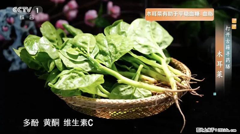 比牛奶补钙还厉害!凉血解毒、稳血糖...这菜冬天必吃,很多人却当草 - 营口生活资讯 - 营口28生活网 yk.28life.com