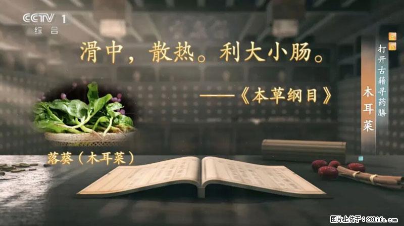 比牛奶补钙还厉害!凉血解毒、稳血糖...这菜冬天必吃,很多人却当草 - 营口生活资讯 - 营口28生活网 yk.28life.com