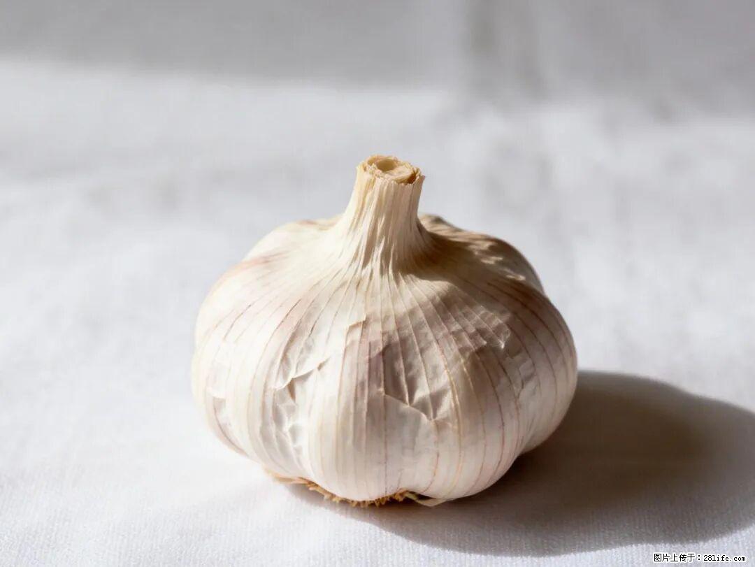 关于大蒜，除了“天然抗生素”，这4个谣言更该警惕! - 营口生活资讯 - 营口28生活网 yk.28life.com