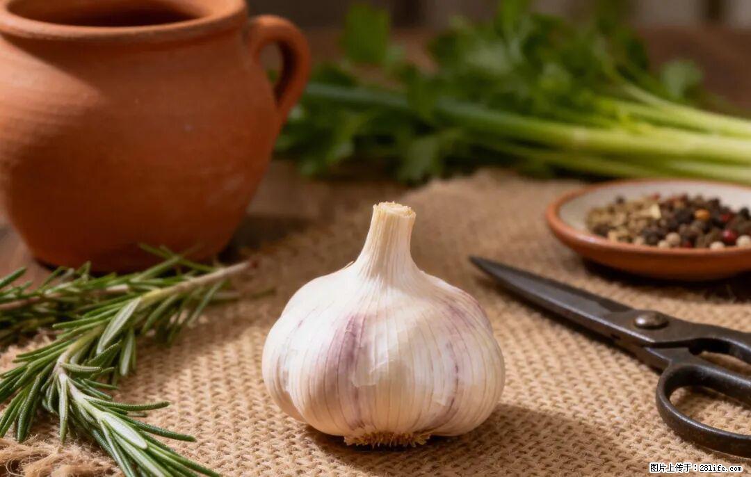 关于大蒜，除了“天然抗生素”，这4个谣言更该警惕! - 营口生活资讯 - 营口28生活网 yk.28life.com
