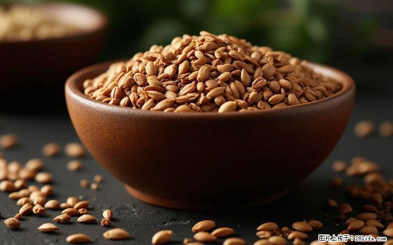 这三苦是三高“克星”，心血管干净不易堵！每天吃一点，指标慢慢降下来~ - 营口生活资讯 - 营口28生活网 yk.28life.com