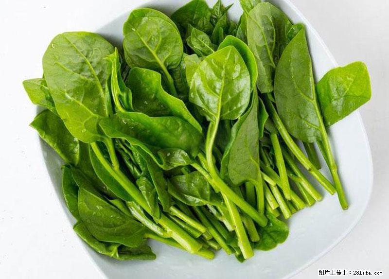 这些蔬菜是“天然钙片”，这6种被医生重点推荐 - 营口生活资讯 - 营口28生活网 yk.28life.com