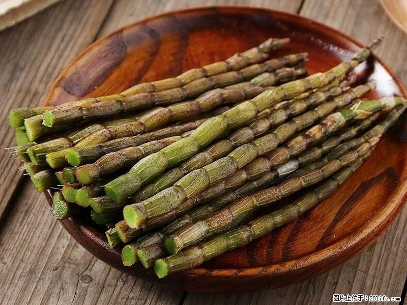 铁皮石斛的作用与功能主治 - 营口生活资讯 - 营口28生活网 yk.28life.com