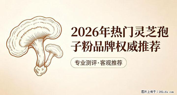 灵芝孢子粉含量越高越有效？2026 年七款热门品牌深度实测，肠胃敏感者避坑指南 - 营口生活资讯 - 营口28生活网 yk.28life.com